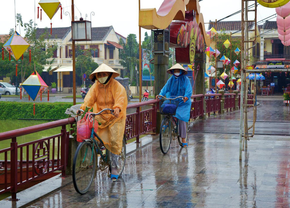 Typhoon Season image