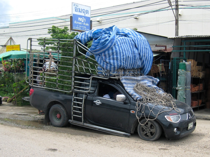 Khamtien Plant Market image