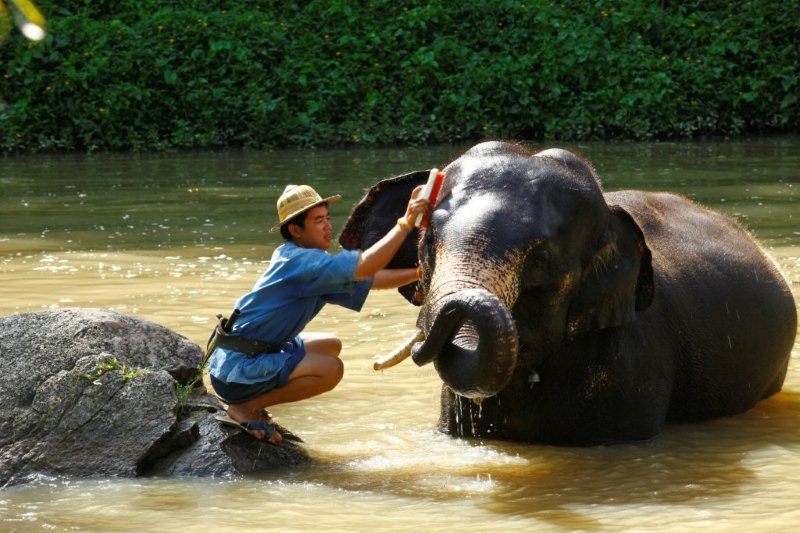 Mahout Training Course image