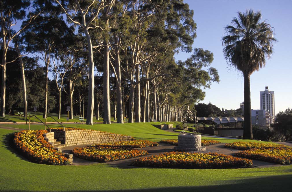 Perth Kings Park image