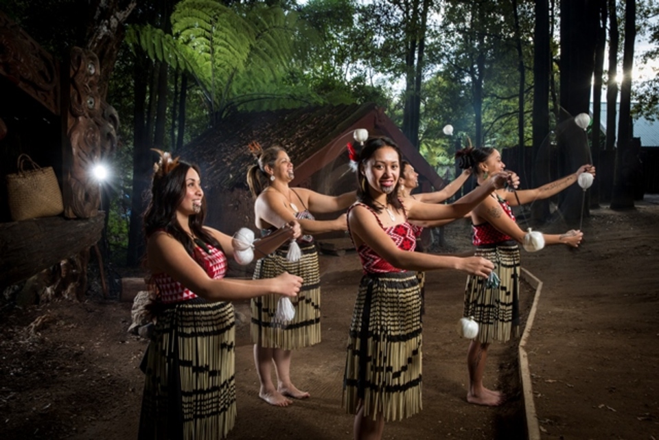 Te Marae - Exploring the Village image