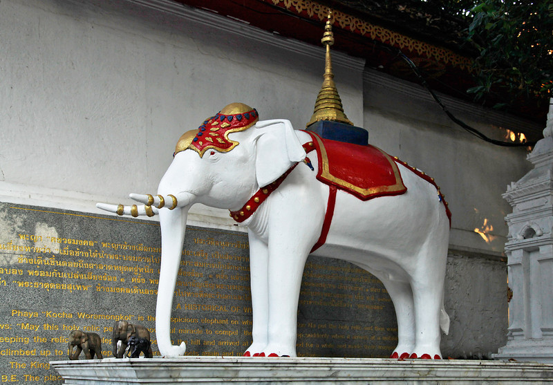 White Elephant image